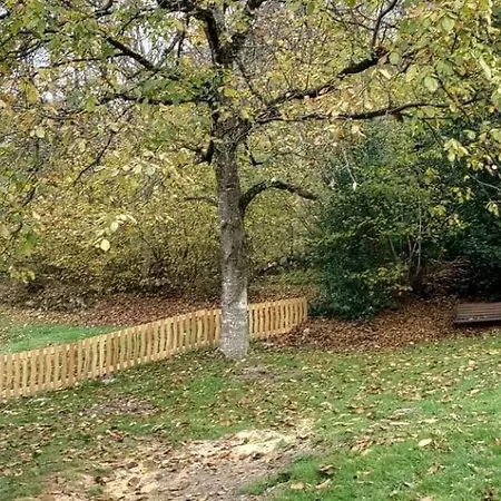 Hetre Pourpre בית נופש *