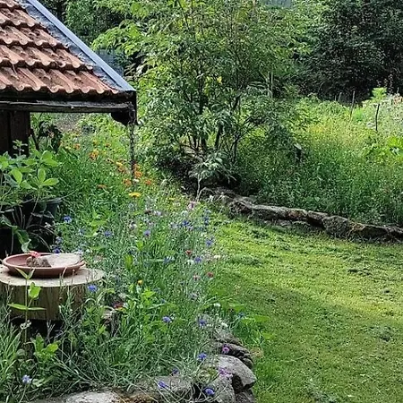 度假居 Hetre Pourpre *